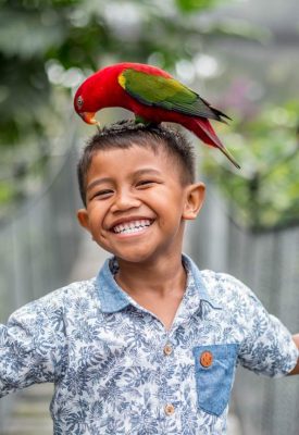 Bali Bird Park