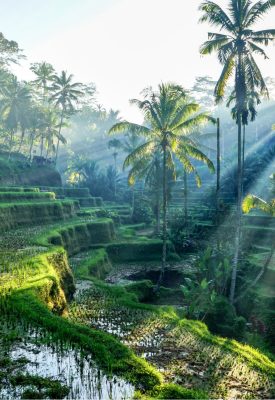ubud